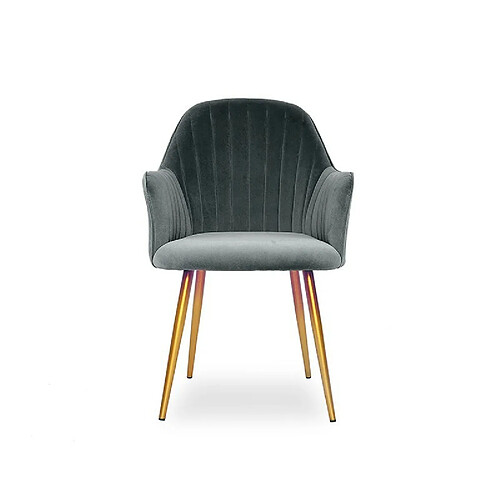 MEUBLER DESIGN Chaise Skull - Gris