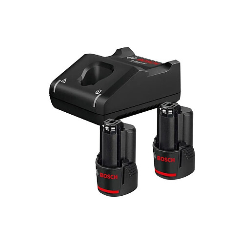 Bosch Kit chargeur et batteries 12V