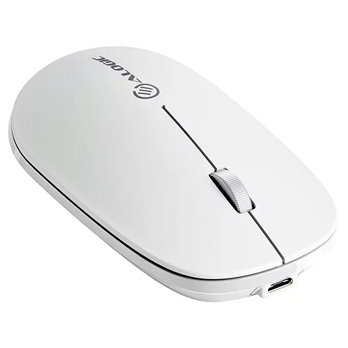 Alogic Echelon Blanche