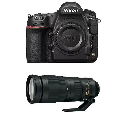 Nikon D850 + 200-500mm f/5.6E ED VR