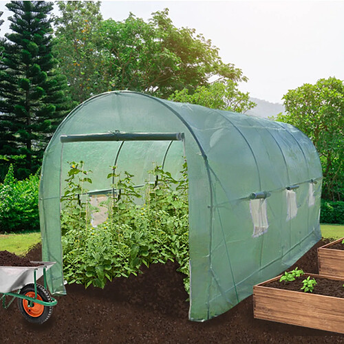 Monstershop Serre Polytunnel 25mm 6m x 3m