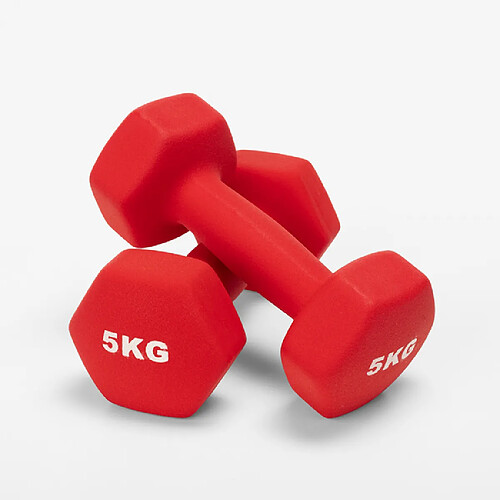 Leonardo Megara - Kit 2 Haltères et disques 5 kg