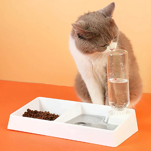 Distributeur d'eau pour animaux - Amovible