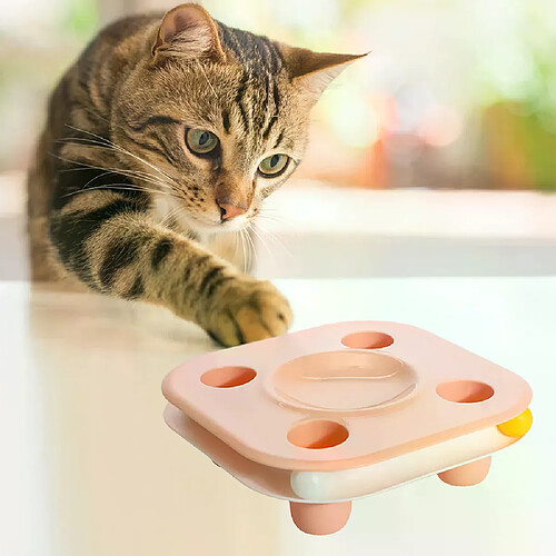 Jouets de Chaton 2 en 1