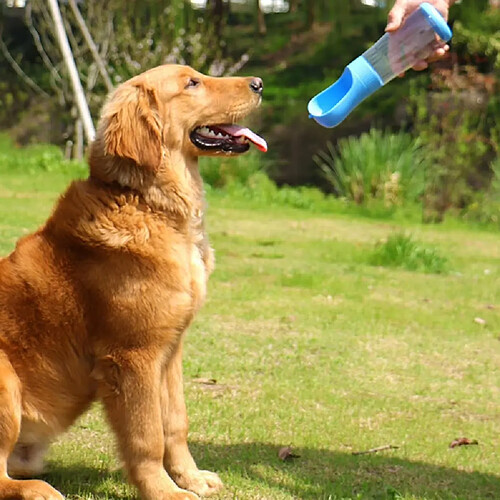 Bouteille pour animaux
