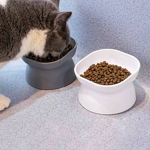 Gamelle pour animal surélevée à 10°