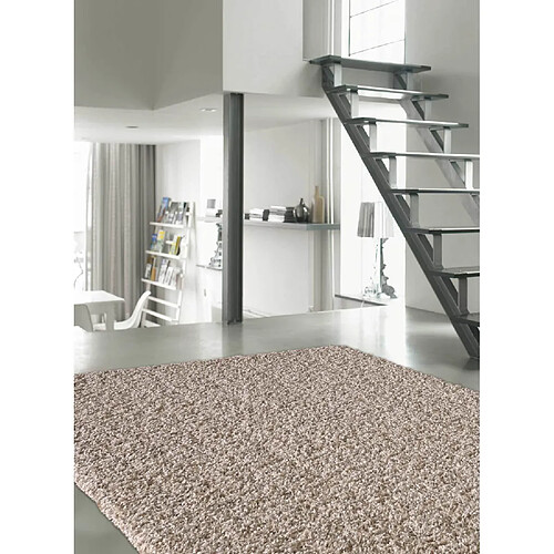 Dezenco Basic Trendy - 120x170 cm - Beige