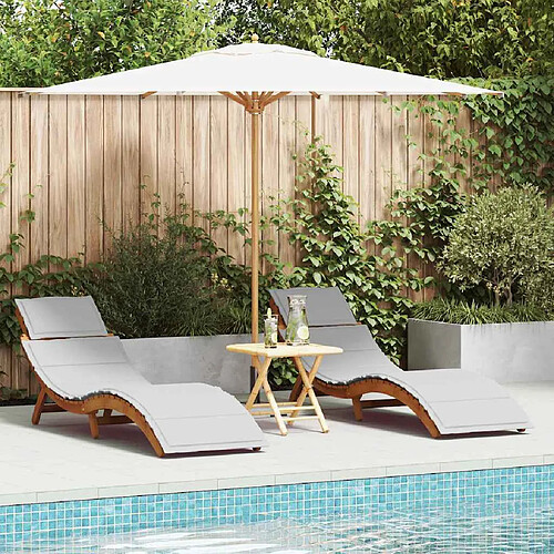 Chaises longues VidaXL - Ensemble de 2 - Marron