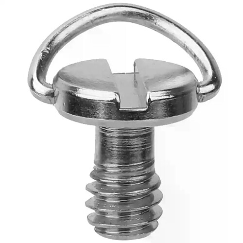 Lot De 10 Vis 1/4" Pour Trépied Et Appareil Photo – Vis à Oreille En Métal Nickelé, Idéales Pour Le Montage Rapide