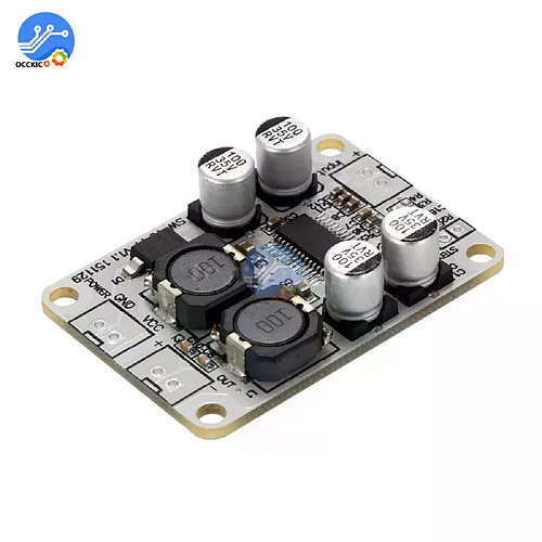 Module ampli mono TPA3110 30W - Blanc