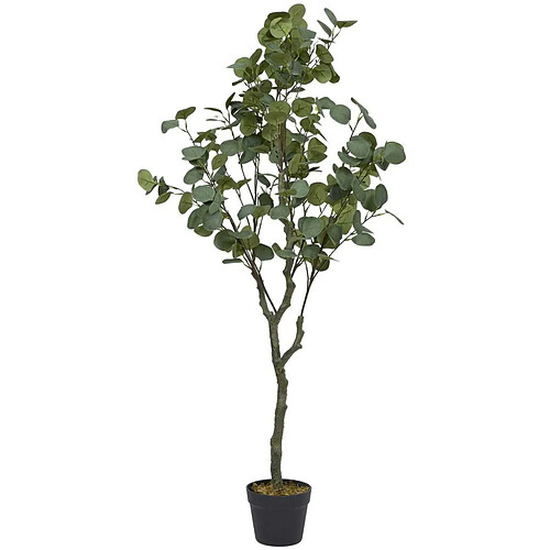 The Home Deco Factory Eucalyptus Artificiel