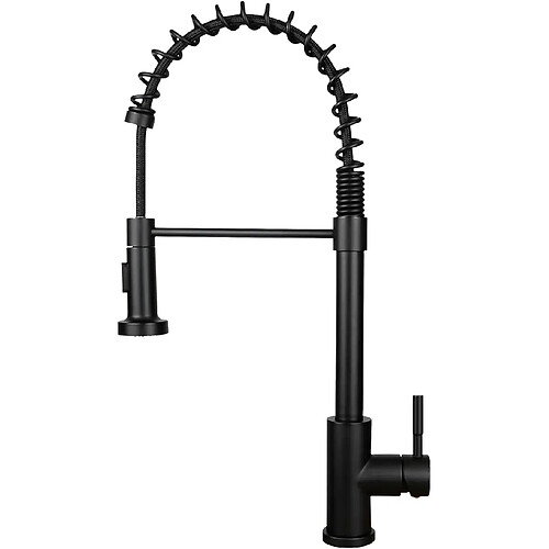 ZMH Robinet de cuisine noir robinet douche extensible pivotant cuisine salle de bain