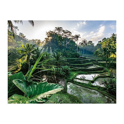 Nathan Puzzle Au cœur de Bali - 2000 pièces