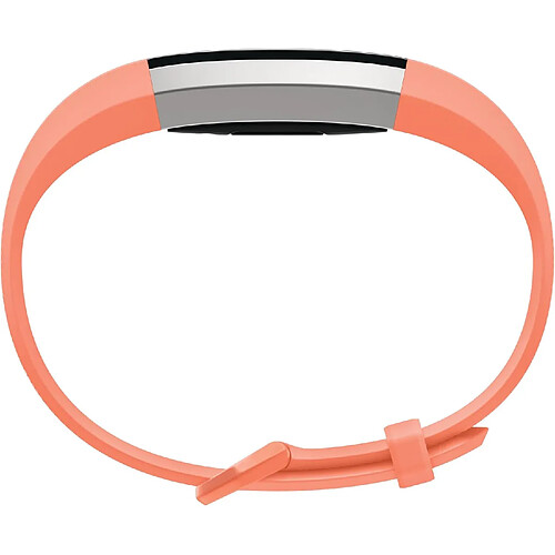 Alta HR Fitness Activity Tracker Mo Coral