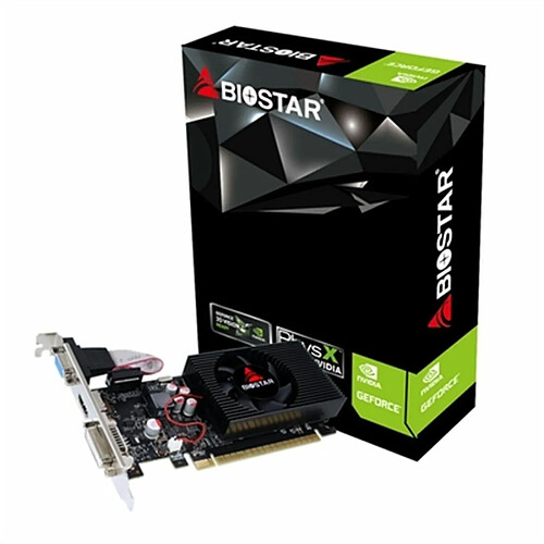 Biostar VN7313TH41 4Go
