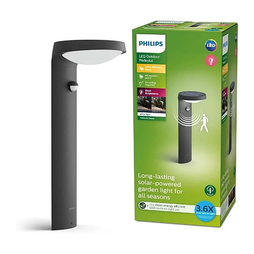 Lampe de Jardin Philips Noire E27 Extérieure