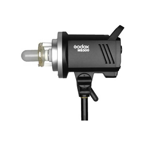 Godox MS300