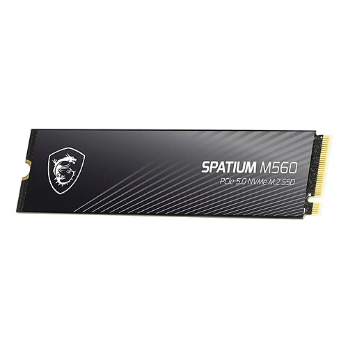 Msi Spatium M560 2To M.2 2280