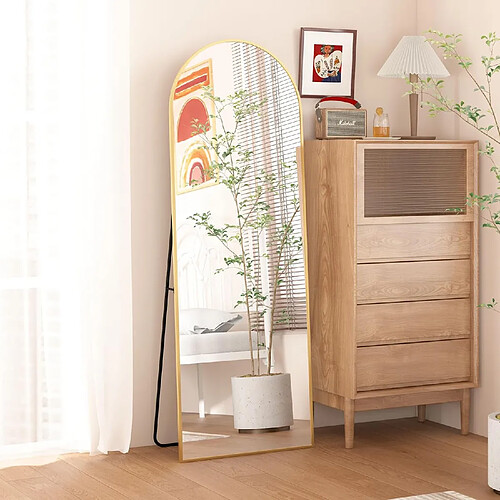 CASSILANDO Miroir pleine longueur 162 x 53 cm, miroir de sol avec cadre en aluminium, miroir sur pied arqué lisse, doré