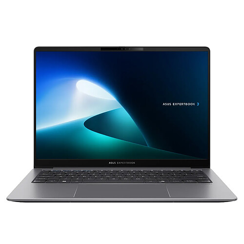 Asus ExpertBook P5 - Gris