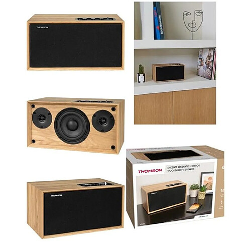 Thomson WS502 - Bois