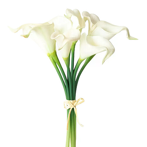 Accessoires Photo lys Calla