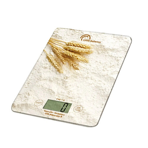 Little balance Slim USB-R