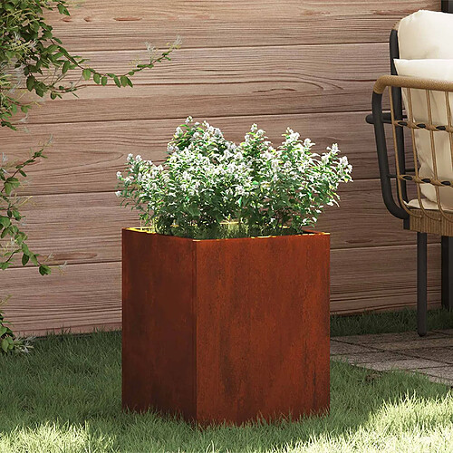 vidaXL Cache-pot de jardin Acier patiné 32 x 32 x 40 cm Acier patiné