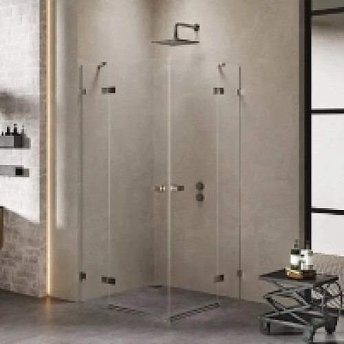 OTITEC Cabine de douche 110x80cm 2 portes pivotantes,CARAIBES GUNMETAL BRUSHED, inox brossé,acces d'angle