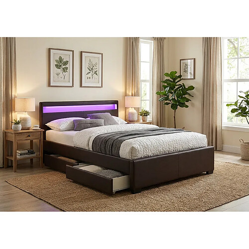Homy France Lit adulte 160x200 cm noir avec tiroirs LED sommier inclus