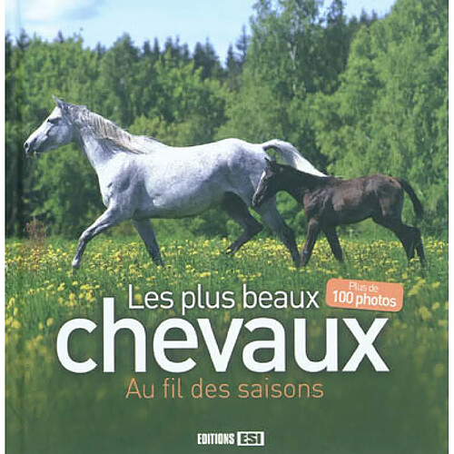 Les plus beaux chevaux au fil des saisons · Occasion