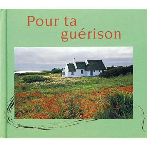 Pour ta guérison : bénédictions irlandaises · Occasion