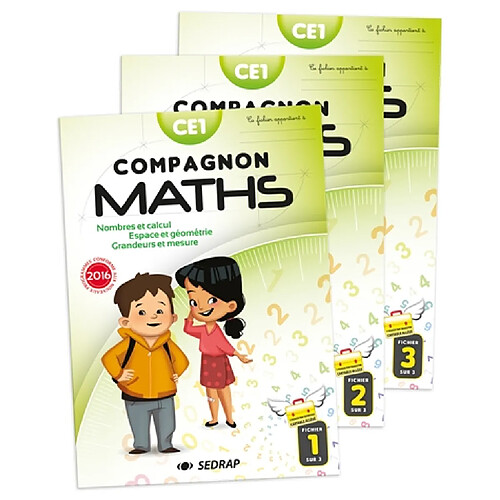 Compagnon maths CE1 : nombres et calcul, grandeurs et mesure, espace et géométrie · Occasion