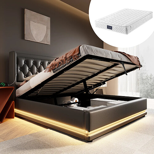 OKWISH Lit coffre 160x200 cm - Lit LED - Noir