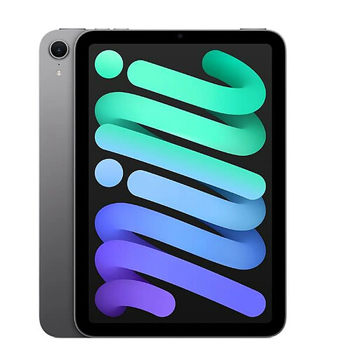 Apple iPad mini 7 - 512 Go Gris