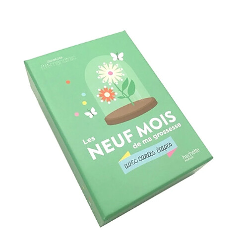 Les neuf mois de ma grossesse avec cartes étapes · Occasion