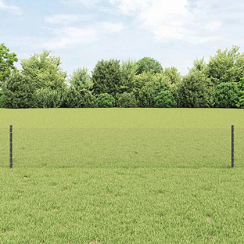 vidaXL Clôture en fil soudé 10 x 0,4 m (l x h) Acier recouvert de PVC