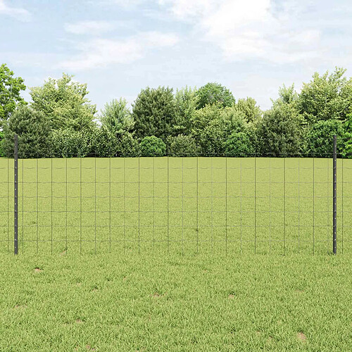vidaXL Clôture en fil soudé 10 x 0,8 m (L x H) Acier recouvert de PVC