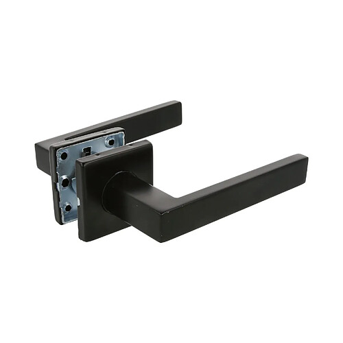 Amig Poignée de porte sur rosace - Noir