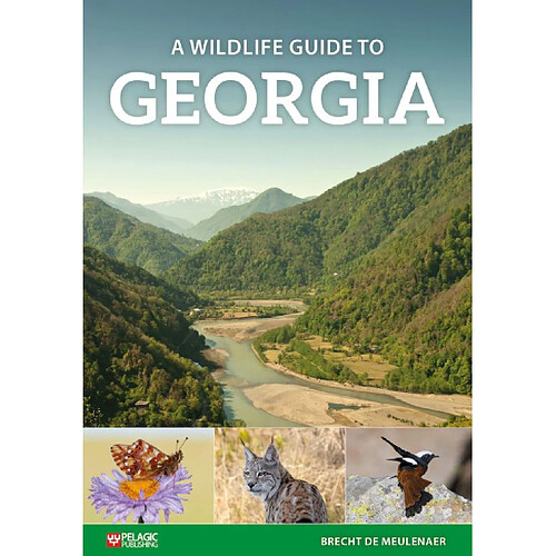 A Wildlife Guide to Georgia