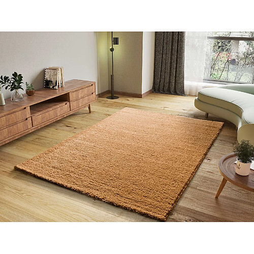 ATTICGO Tapis shaggy ATLAS marron 190x290 cm