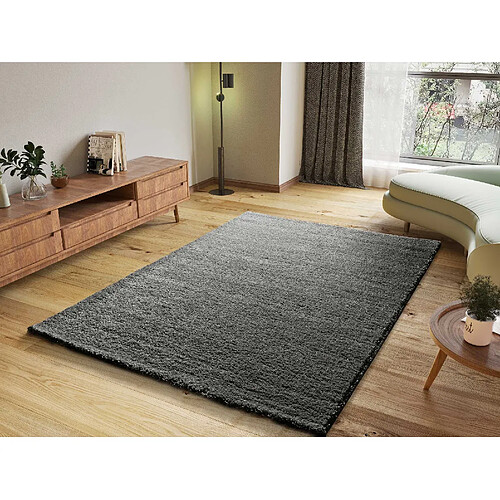 ATTICGO Tapis shaggy ATLAS anthracite 190x290 cm