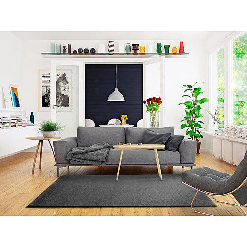 ATTICGO Tapis uni BERNA gris 60x110 cm