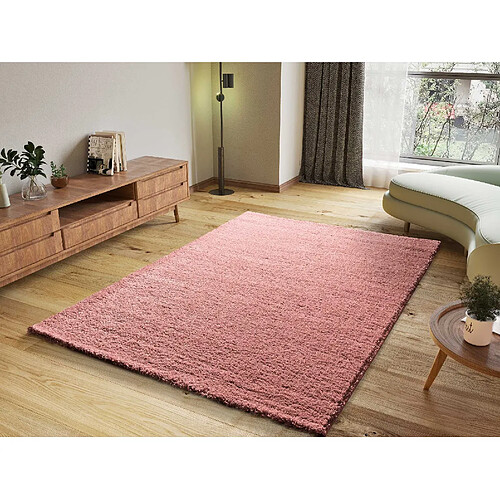 ATTICGO Tapis shaggy ATLAS rose 120x180 cm