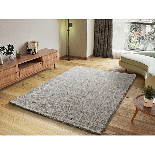 ATTICGO Tapis shaggy ATLAS gris 160x230 cm