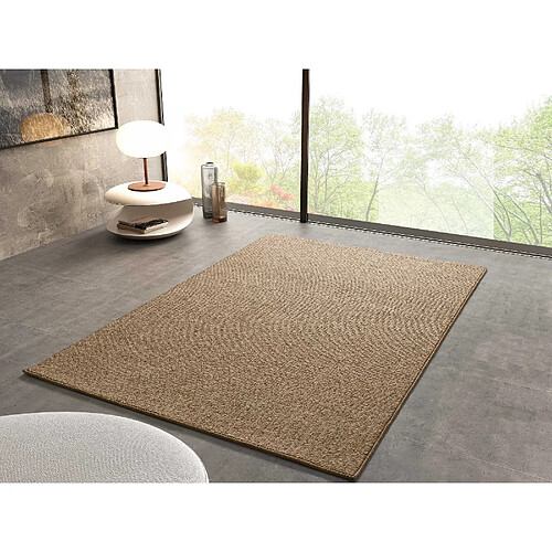 ATTICGO Tapis lavable uni PETRA marron clair 120x170 cm