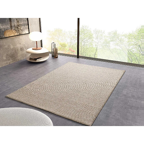 ATTICGO Tapis lavable uni PETRA blanc/beige 120x170 cm
