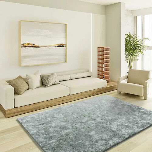 ATTICGO Tapis shaggy ROMA argent 140x200 cm