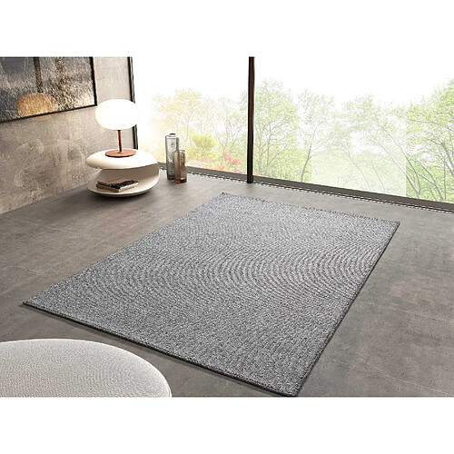 ATTICGO Tapis lavable uni PETRA gris 120x170 cm