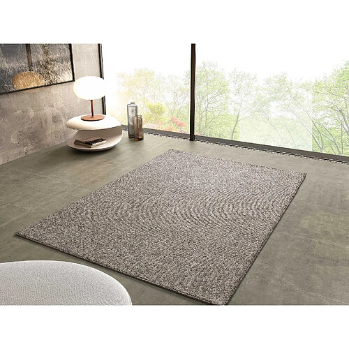 ATTICGO Tapis lavable uni PETRA taupe 160x230 cm